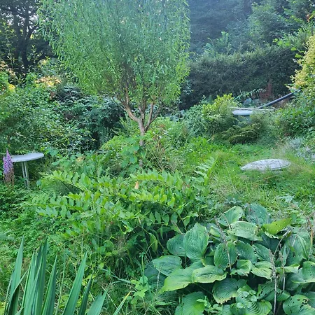 Romantische Gartenlaube Mit Blick Auf Die Elbe Konigstein an der Elbe Exterior photo