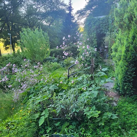 Romantische Gartenlaube Mit Blick Auf Die Elbe Konigstein an der Elbe Exterior photo