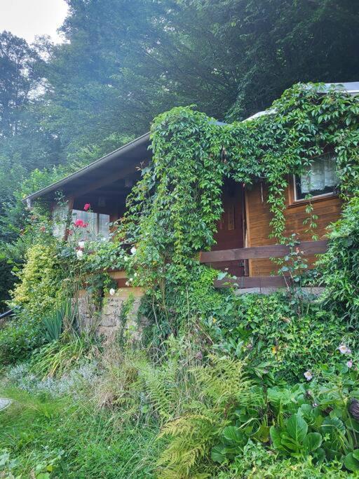 Apartment Romantische Gartenlaube Mit Blick Auf Elbe Konigstein an der Elbe
