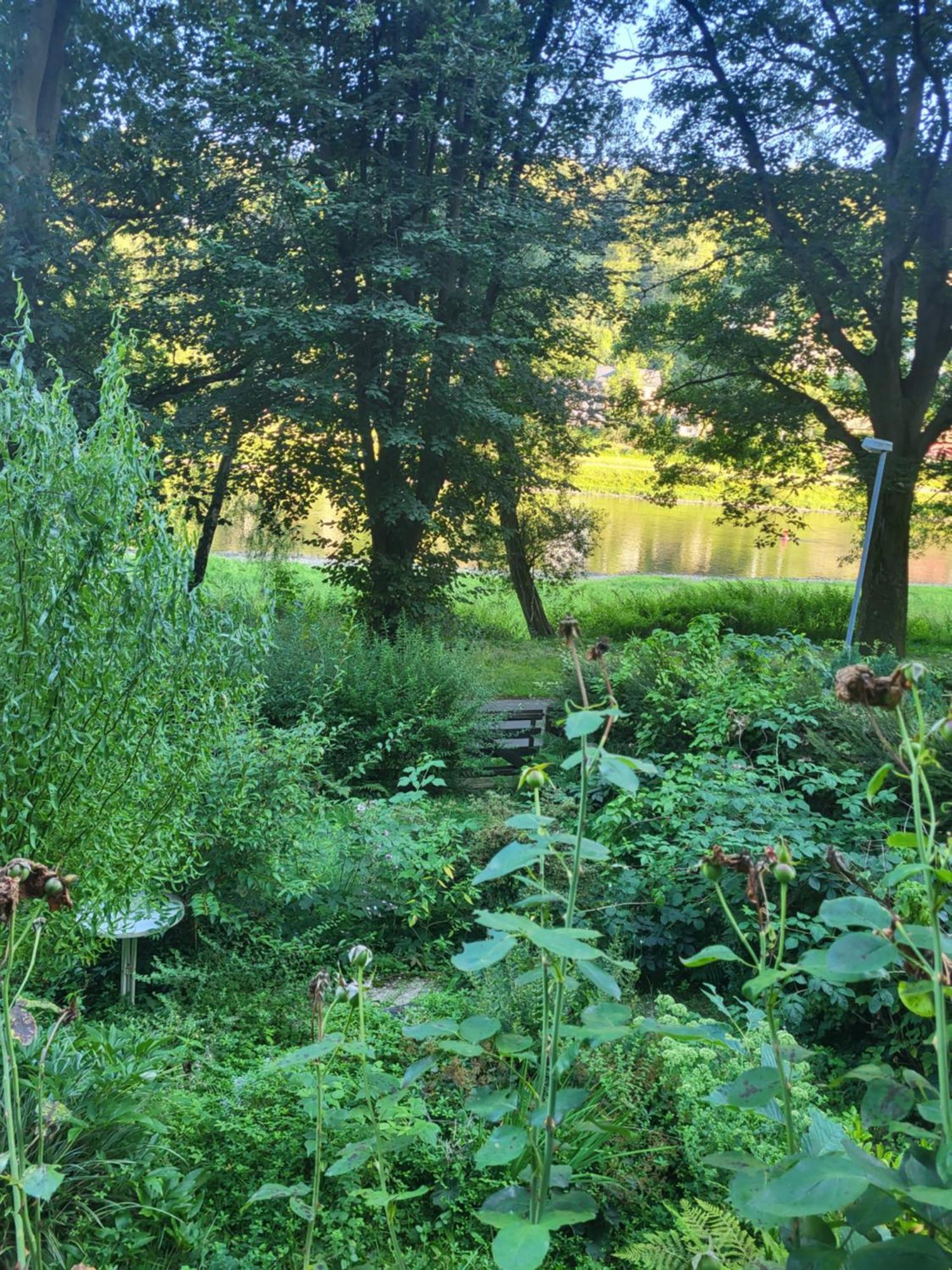 Romantische Gartenlaube Mit Blick Auf Elbe Konigstein an der Elbe