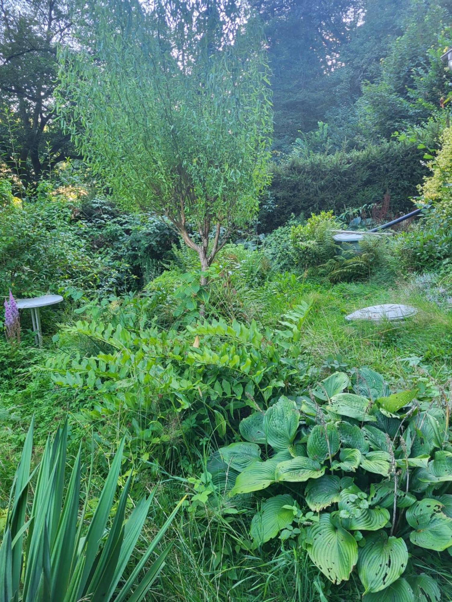 Romantische Gartenlaube Mit Blick Auf Elbe Apartment