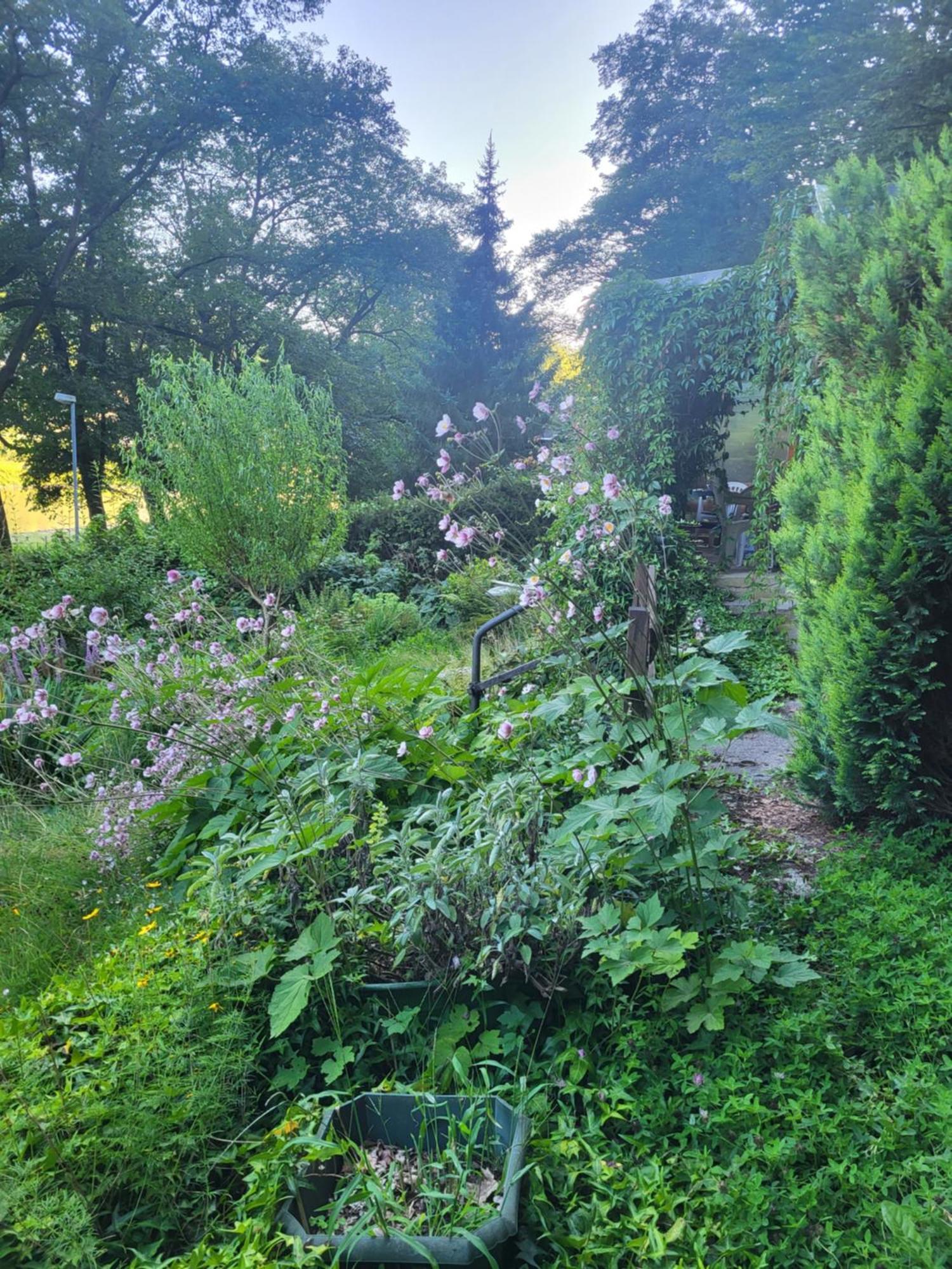 Apartment Romantische Gartenlaube Mit Blick Auf Elbe