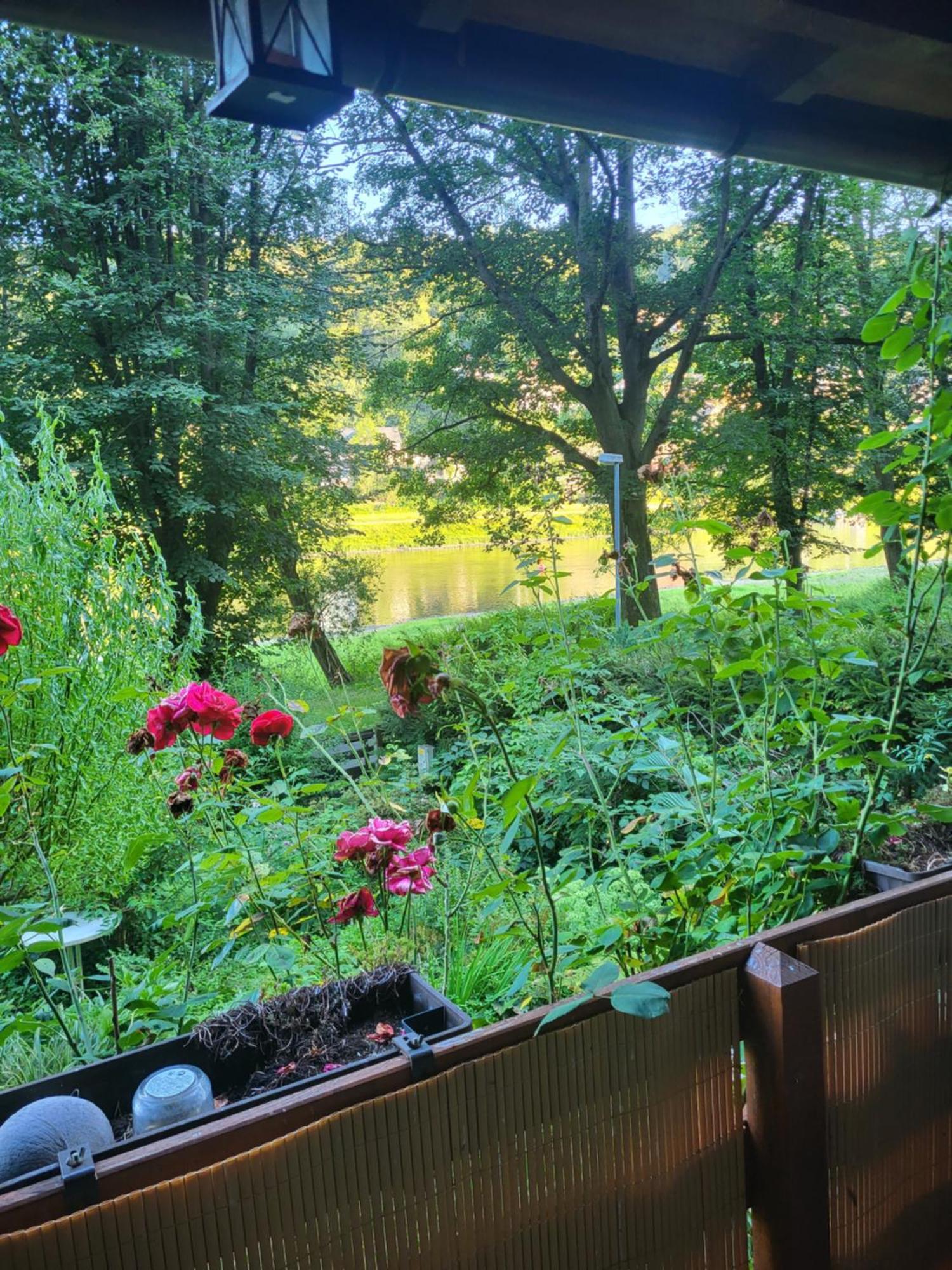 Romantische Gartenlaube Mit Blick Auf Elbe