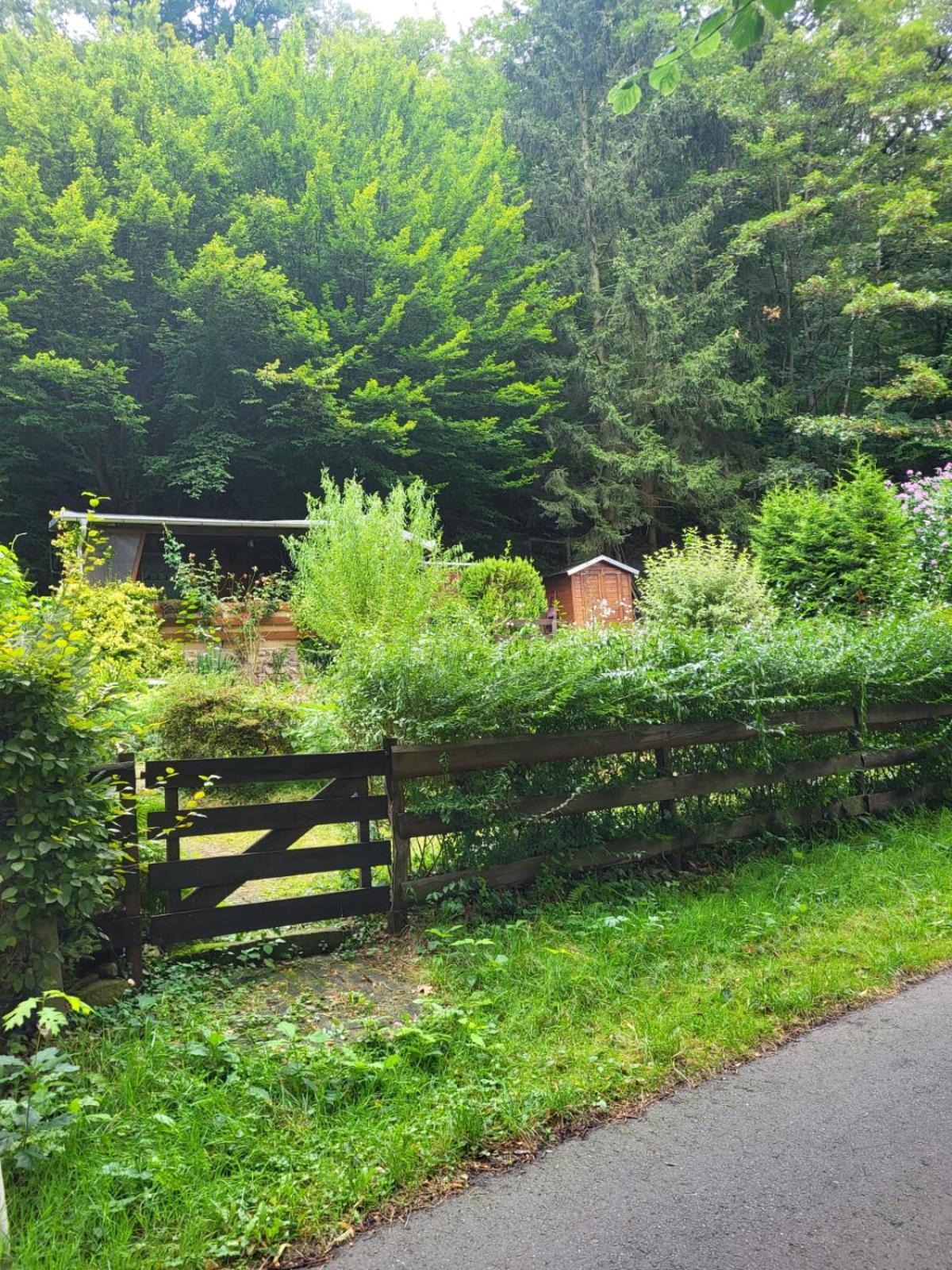 Romantische Gartenlaube Mit Blick Auf Elbe * Konigstein an der Elbe