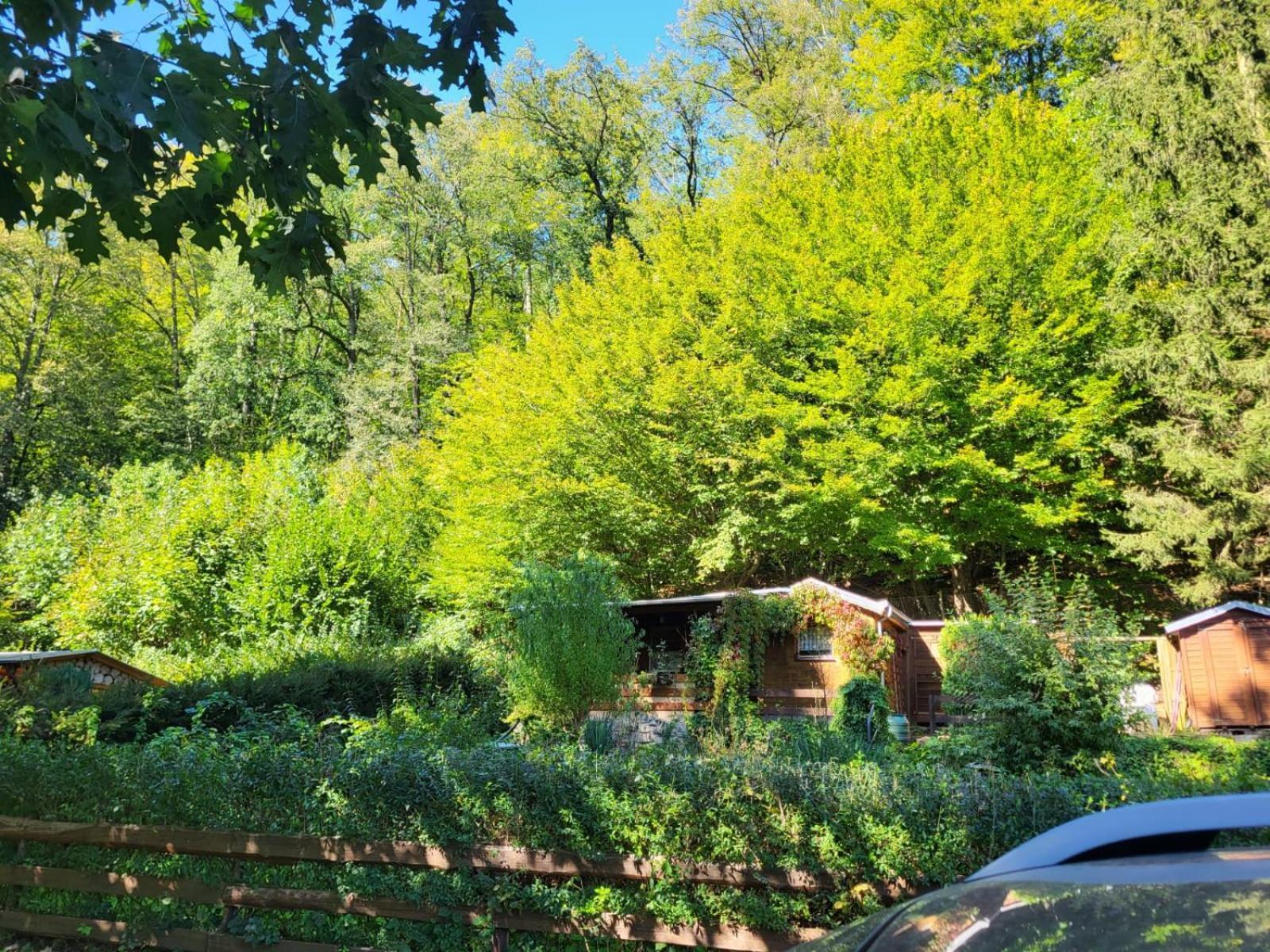 Apartment Romantische Gartenlaube Mit Blick Auf Elbe Konigstein an der Elbe